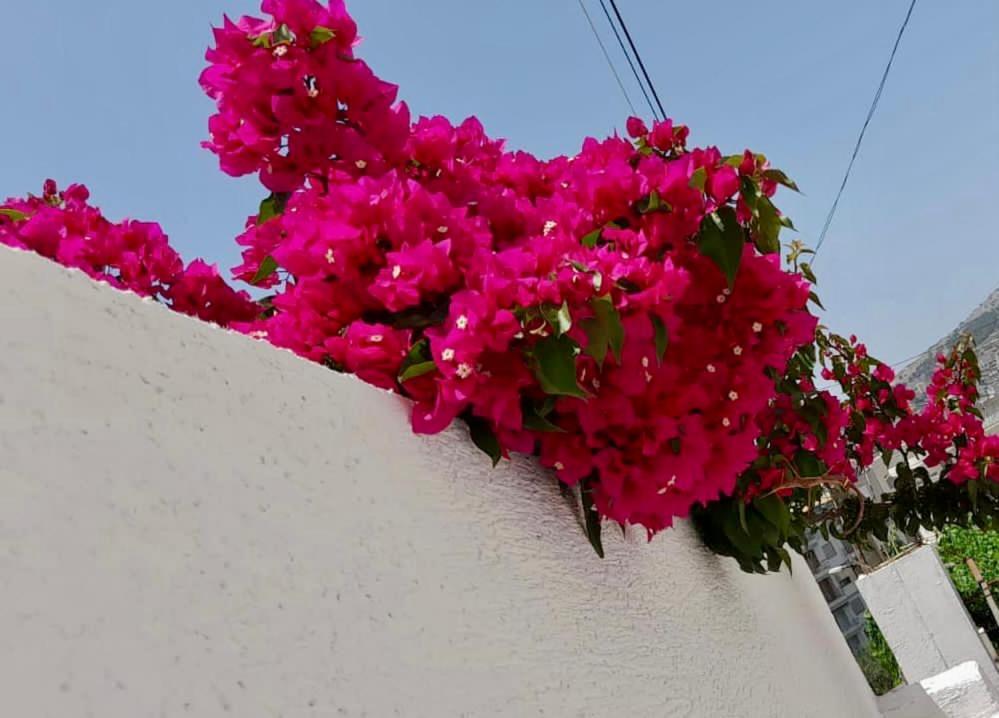 Ona Apartament Sarandë Exteriör bild